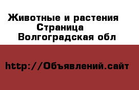  Животные и растения - Страница 3 . Волгоградская обл.